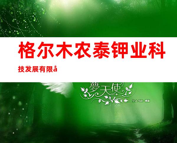 格尔木农泰钾业科技发展有限公司